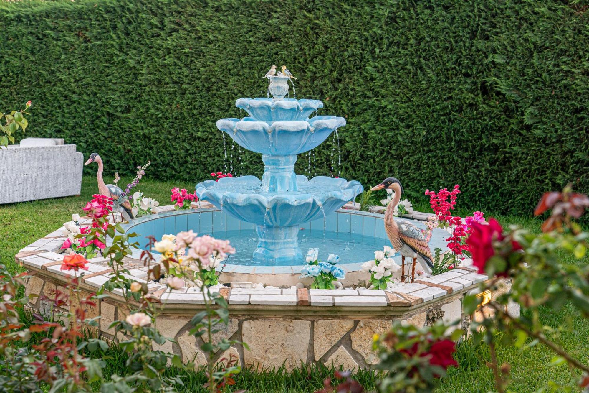 Villa Alonia Skala  エクステリア 写真